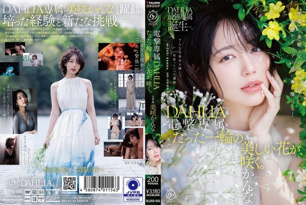 DLDSS-532